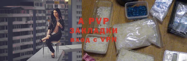 прущие грибы Киренск