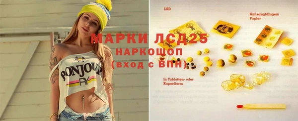 прущие грибы Киренск