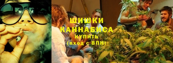 прущие грибы Киренск