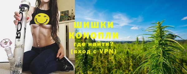 прущие грибы Киренск