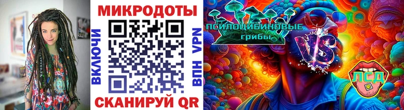 Купить  Сальск  Галлюциногенные грибы MAGIC MUSHROOMS 